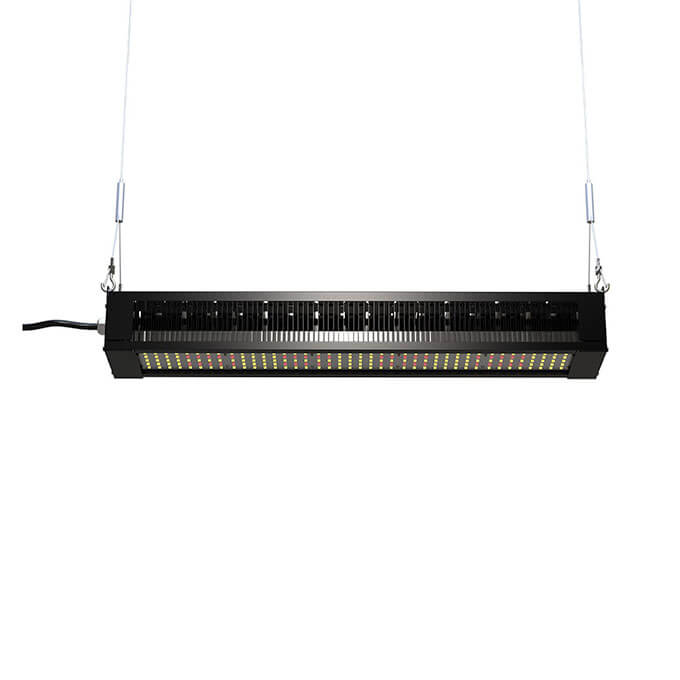 300w-grow-light2