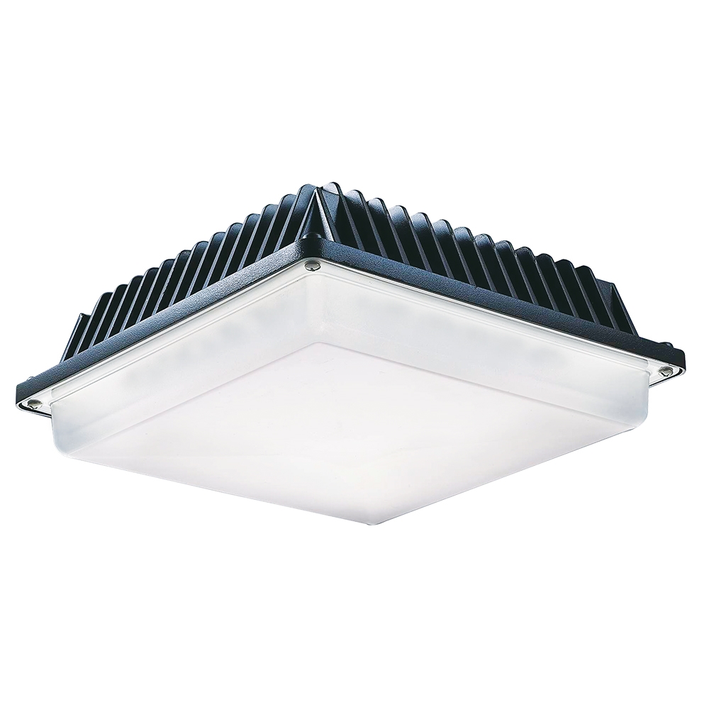 led canopy light