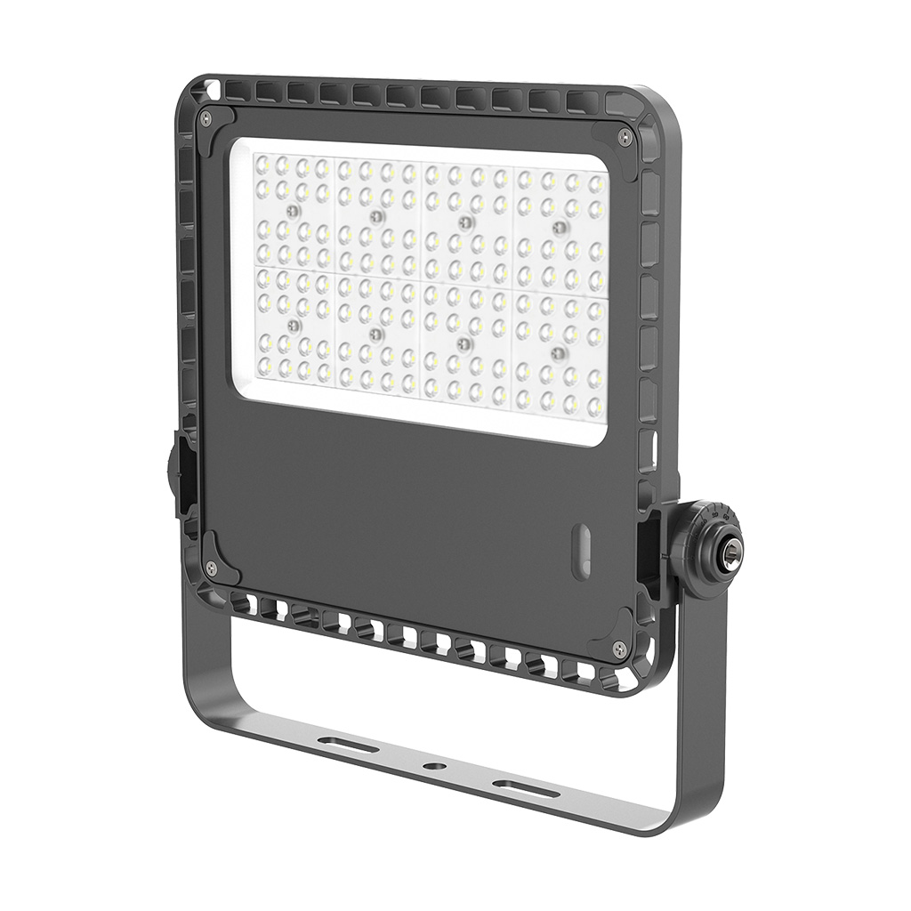 100w flood light1