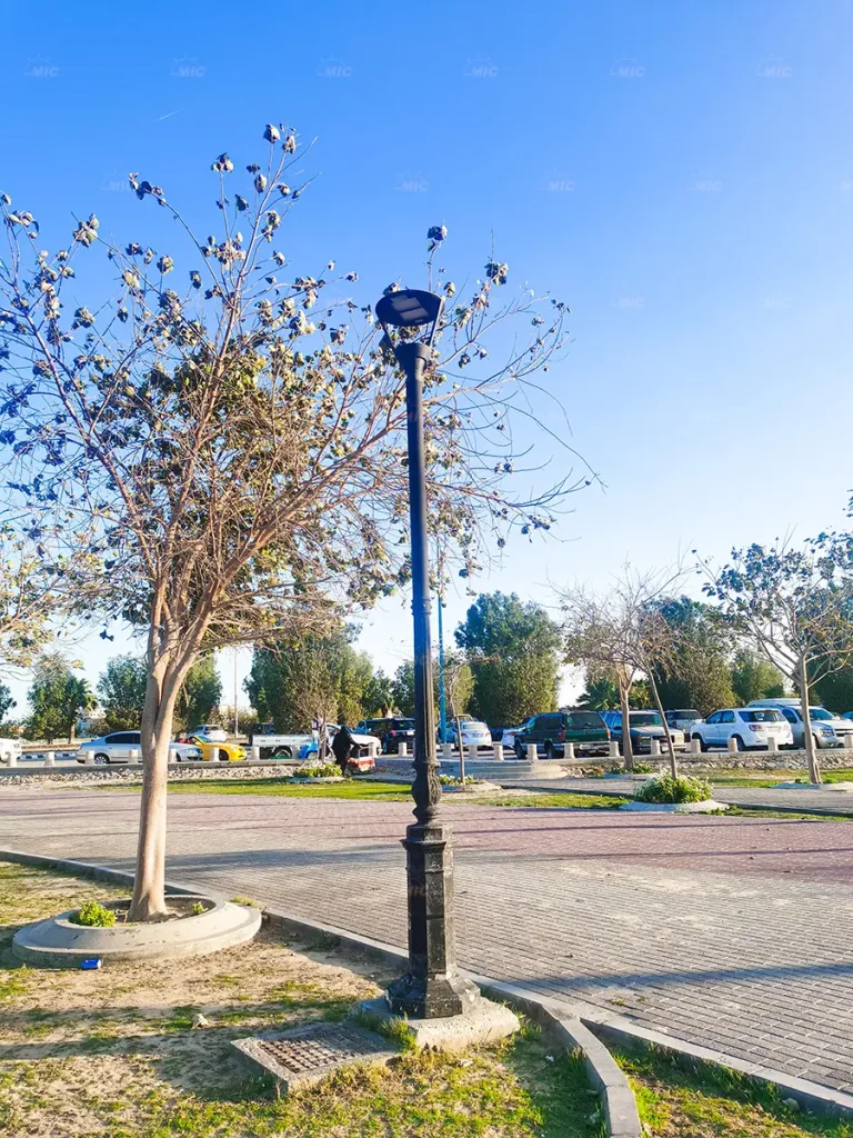 Saudi-Arabia-Led-garden-light03