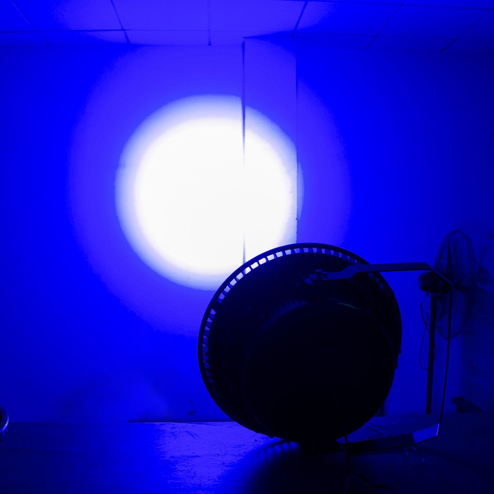 MFL-R-flood-light-blue-light